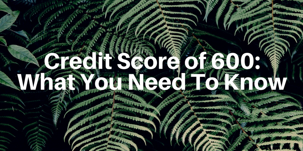 credit score of 600